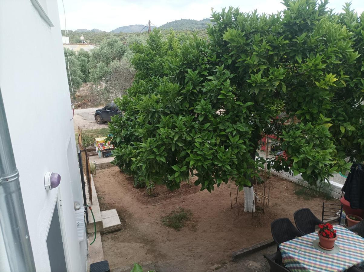 Skála KallirákhisGeorgechristi House别墅 外观 照片